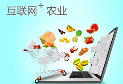 梅州农业迈入“互联网+”时代