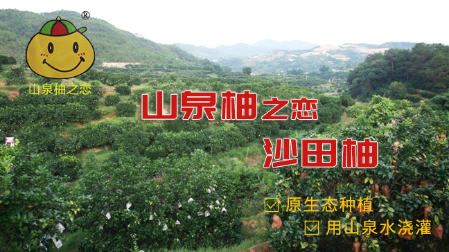 匠心生态再优化